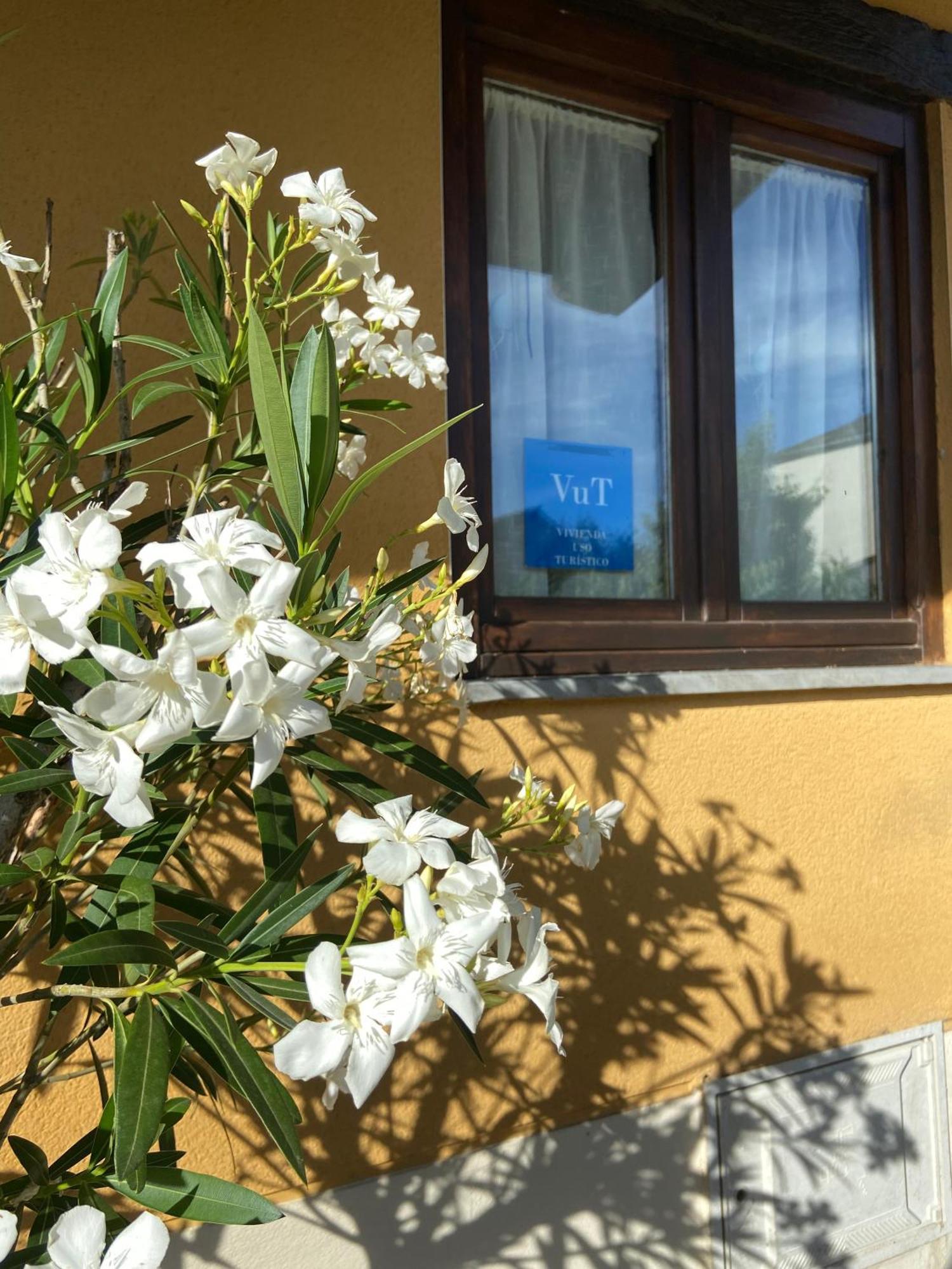 La Casita De Vinales Villa Bembibre  Dış mekan fotoğraf